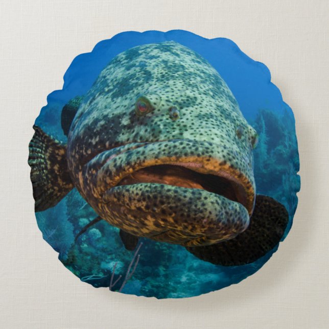 Atlantic Goliath Grouper Round Pillow (Front)