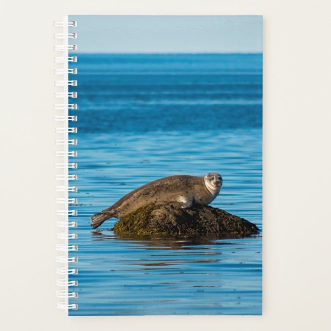 Atlantic Harbor Seal Planner (Front)
