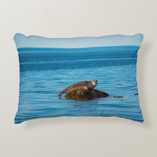 Atlantic Harbour Seal Accent Pillow (Front)
