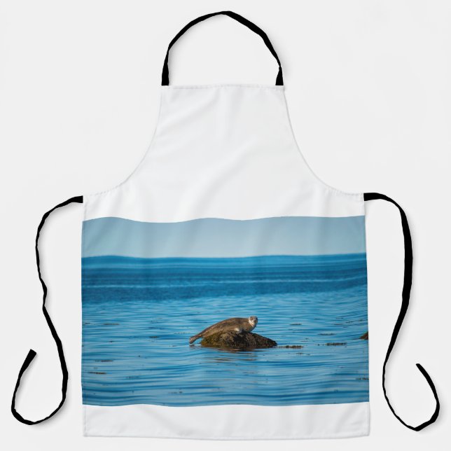 Atlantic Harbour Seal Apron (Front)