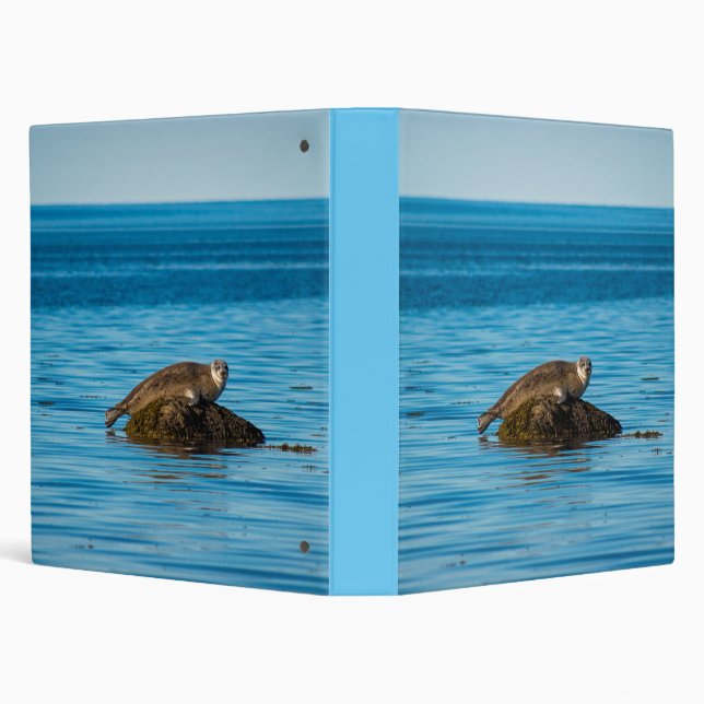 Atlantic Harbour Seal Binder (Background)