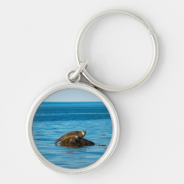 Atlantic Harbour Seal Keychain (Front)