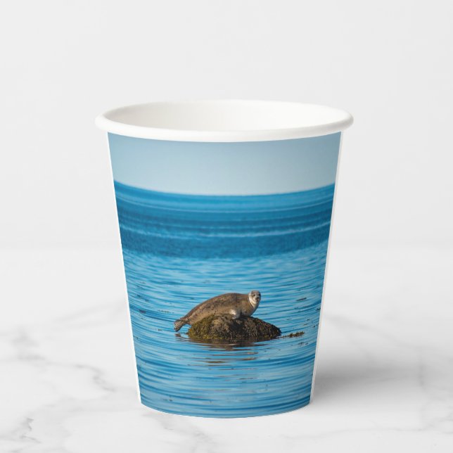 Atlantic Harbour Seal Paper Cups (Front)