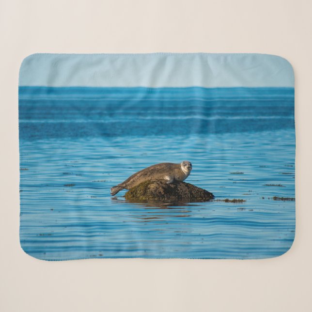 Atlantic Harbour Seal Sherpa Blanket (Front (Horizontal))
