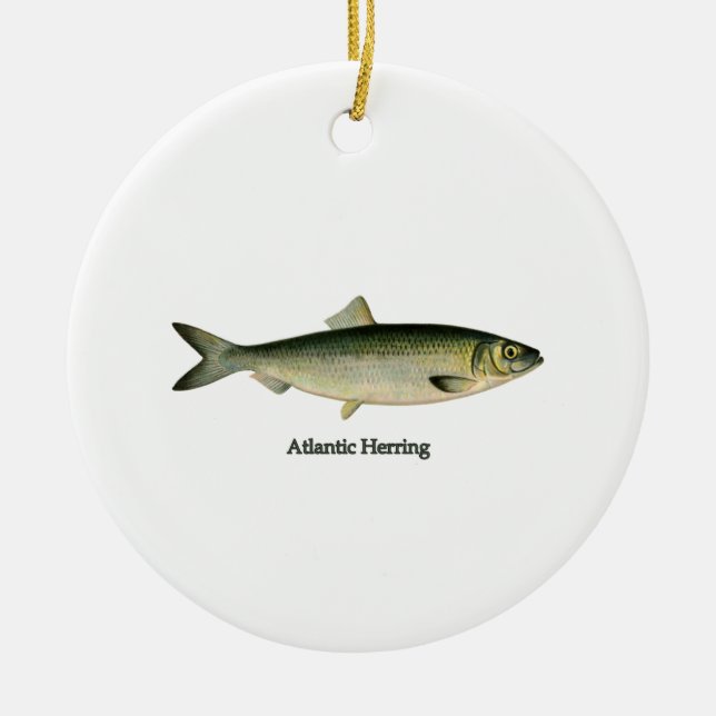 Atlantic Herring Ceramic Ornament (Front)