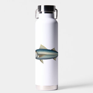 Atlantic mackerel. water bottle