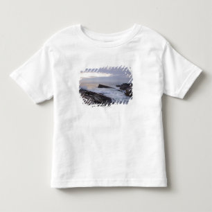 Atlantic Ocean at Sunrise in Maine Toddler T-shirt