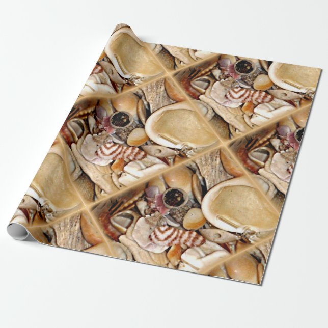 Atlantic Ocean Sea Shells Wrapping Paper (Unrolled)