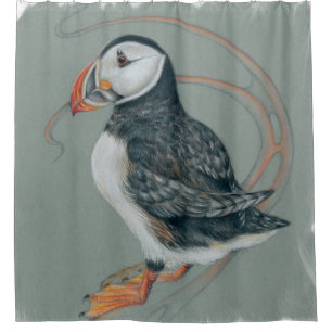 Atlantic Puffin Bird Art Drawing