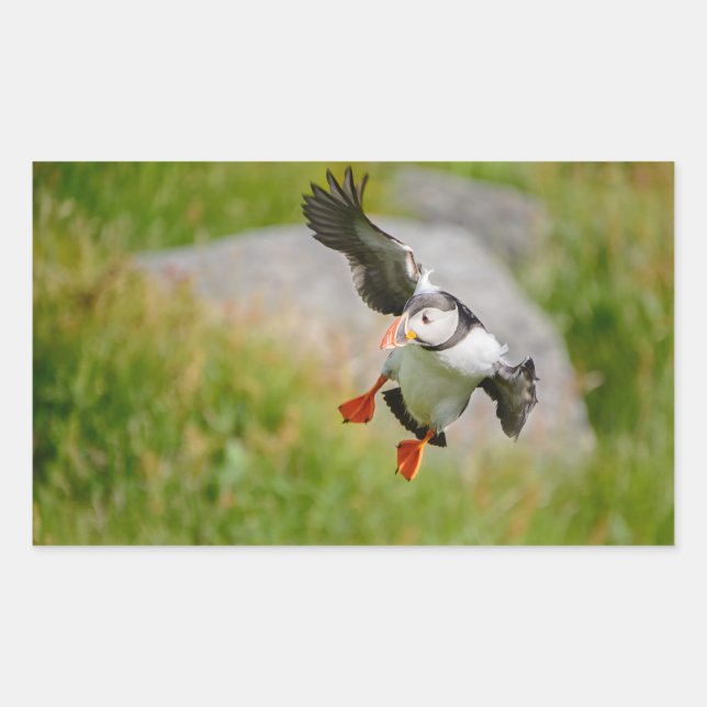 Atlantic Puffin bird flying rectangular sticker (Front)