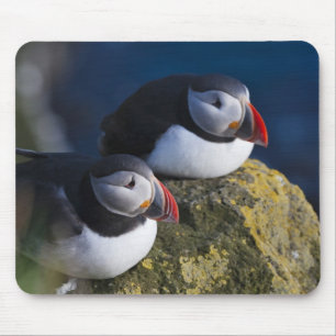 Atlantic Puffin (Fratercula arctica) 7 Mouse Pad