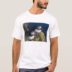 Atlantic Puffin (Fratercula arctica) 7 T-Shirt