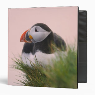 Atlantic Puffin (Fratercula arctica) Binder