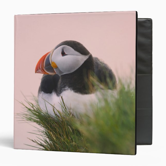 Atlantic Puffin (Fratercula arctica) Binder (Front/Inside)