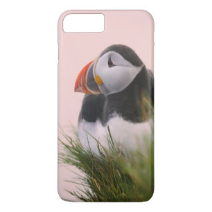 Atlantic Puffin (Fratercula arctica) Case-Mate iPhone Case