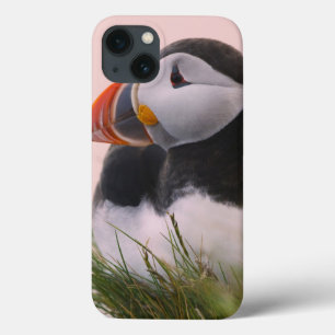 Atlantic Puffin (Fratercula arctica) iPhone 13 Case