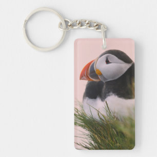 Atlantic Puffin (Fratercula arctica) Keychain