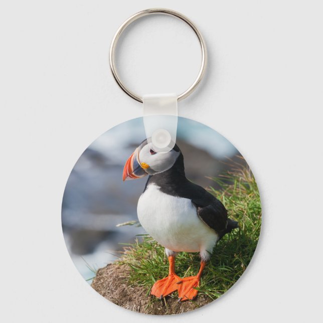 Atlantic Puffin Fratercula Arctica Keychain (Front)