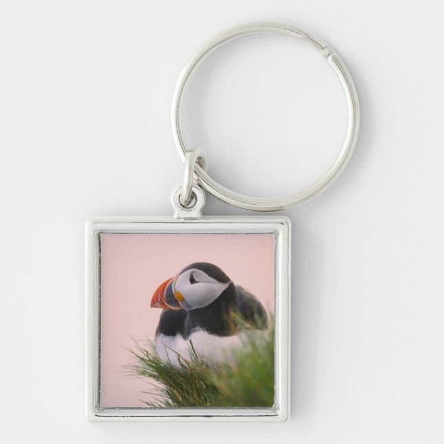 Atlantic Puffin (Fratercula arctica) Keychain (Front)