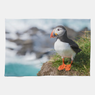 Atlantic Puffin Fratercula Arctica Kitchen Towel