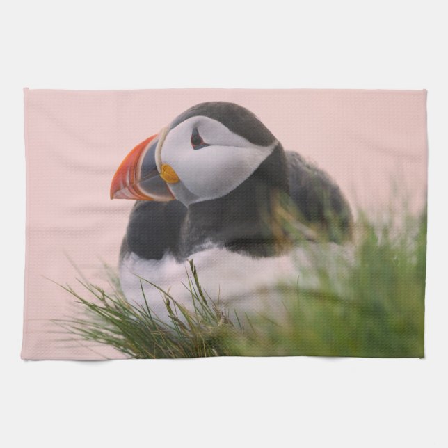 Atlantic Puffin (Fratercula arctica) Kitchen Towel (Horizontal)