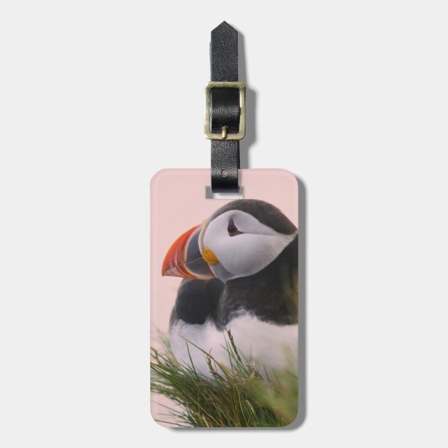 Atlantic Puffin (Fratercula arctica) Luggage Tag (Front Vertical)