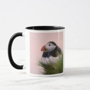 Atlantic Puffin (Fratercula arctica) Mug