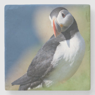 Atlantic Puffin (Fratercula Arctica) On Cliff 2 Stone Coaster