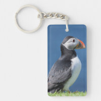 Atlantic Puffin (Fratercula Arctica) On Cliff