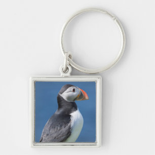 Atlantic Puffin (Fratercula Arctica) On Cliff Keychain