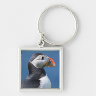 Atlantic Puffin (Fratercula Arctica) On Cliff Keychain
