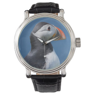 Atlantic Puffin (Fratercula Arctica) On Cliff Watch