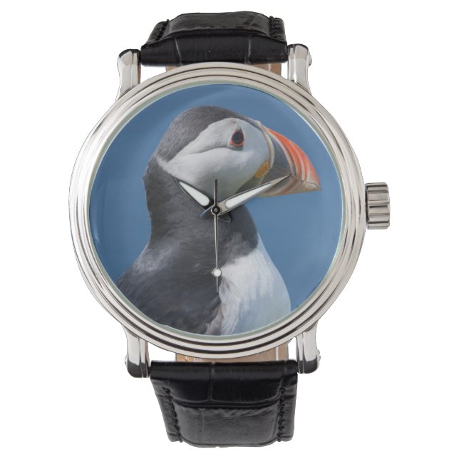 Atlantic Puffin (Fratercula Arctica) On Cliff Watch (Front)