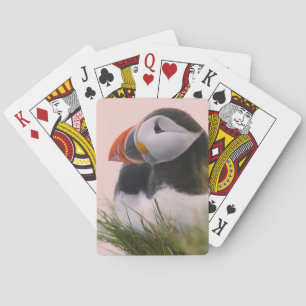 Atlantic Puffin (Fratercula arctica) Playing Cards