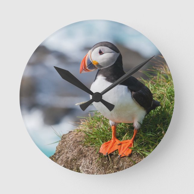 Atlantic Puffin Fratercula Arctica Round Clock (Front)