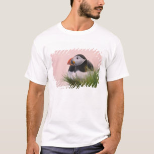 Atlantic Puffin (Fratercula arctica) T-Shirt