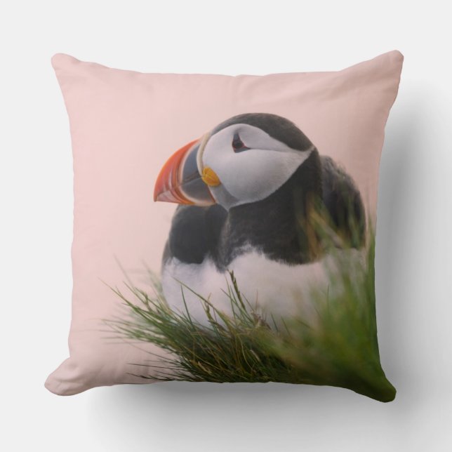 Atlantic Puffin (Fratercula arctica) Throw Pillow (Front)
