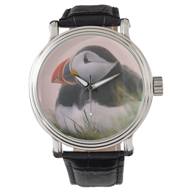 Atlantic Puffin (Fratercula arctica) Watch (Front)
