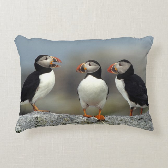 Atlantic Puffin Group Decorative Pillow (Front)