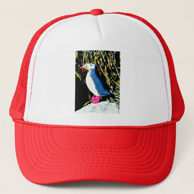 atlantic puffin hat (Front)