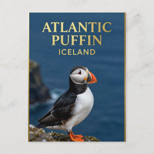 🐧 Atlantic Puffin Iceland Coastal Bird Postcard