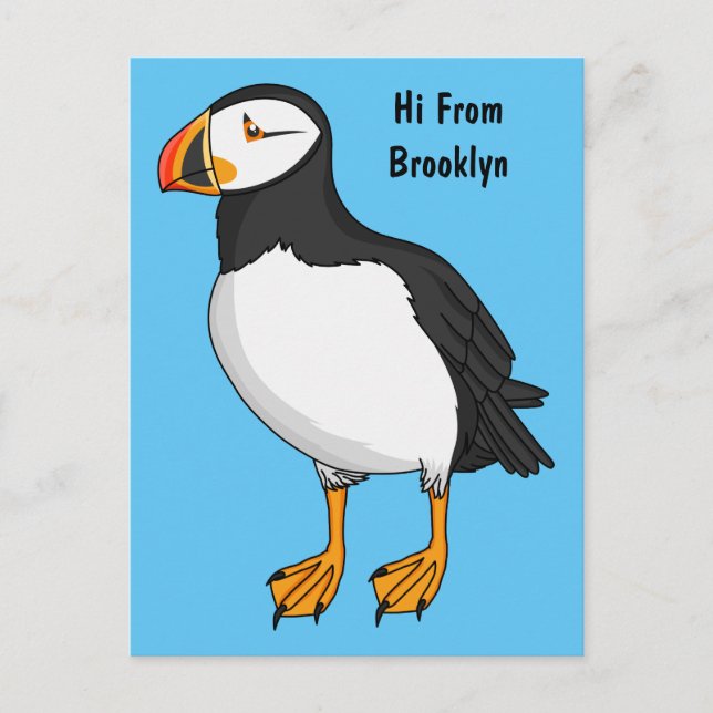 Atlantic puffin illustration  postcard (Front)