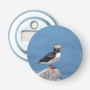 Atlantic Puffin in Machias, Maine Bottle Opener