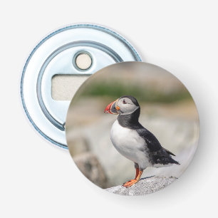 Atlantic Puffin in Machias, Maine Bottle Opener
