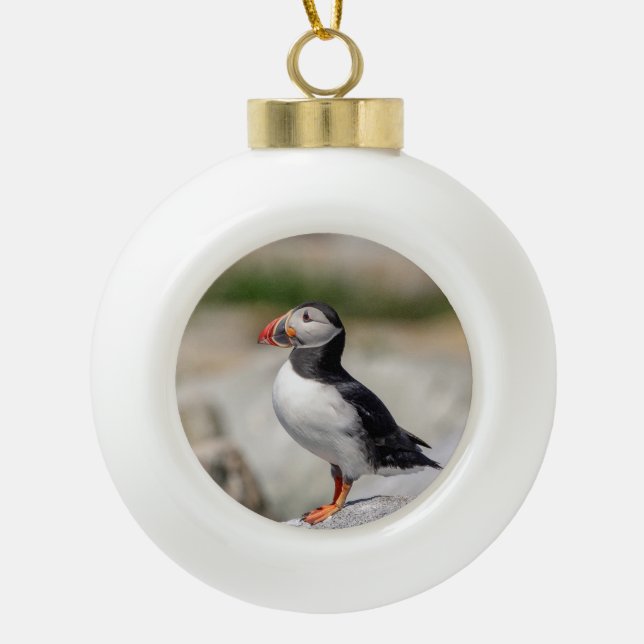 Atlantic Puffin in Machias, Maine Ceramic Ball Christmas Ornament (Front)