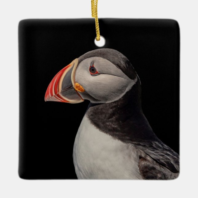 Atlantic Puffin in Machias, Maine Ceramic Ornament (Front)