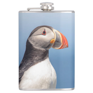 Atlantic Puffin in Machias, Maine Hip Flask