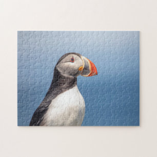 Atlantic Puffin in Machias, Maine Jigsaw Puzzle
