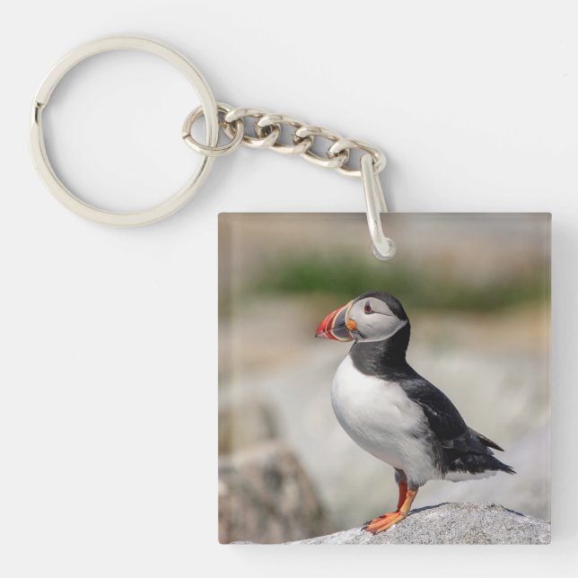 Atlantic Puffin in Machias, Maine Keychain (Front)