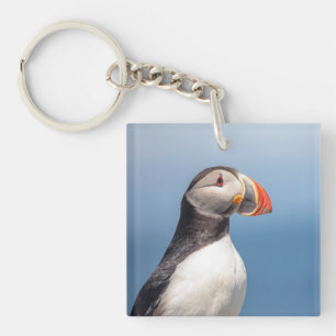 Atlantic Puffin in Machias, Maine Keychain